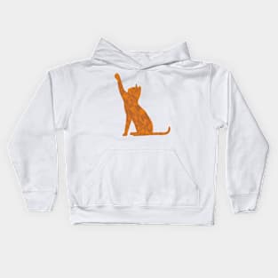 Cat-Abstract Triangle Kids Hoodie